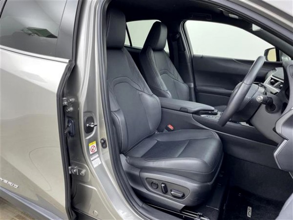 Lexus UX250h