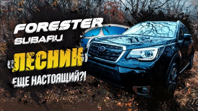 SUBARU FORESTER — 20лет лидер в кроссоверах Атмо или Турбо? «А я Никита, люблю 22см… клиренса»